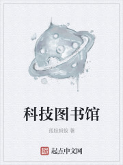 科技图书馆小说封面